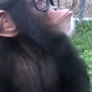 🤓