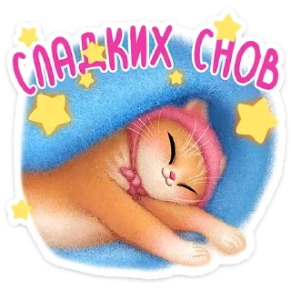 😴