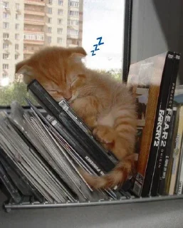 💤