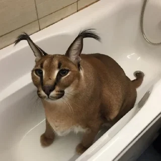 🛁