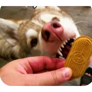 ✋