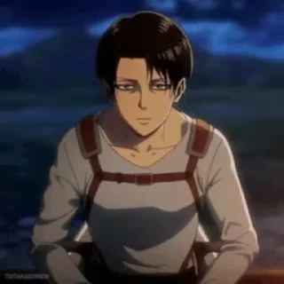 🌟
