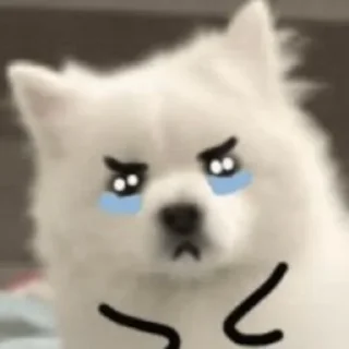 😭