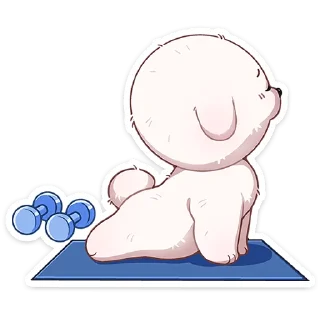 💪