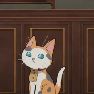 🐈