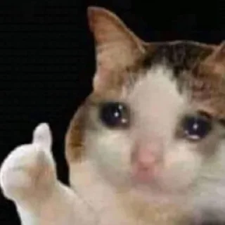 🥺