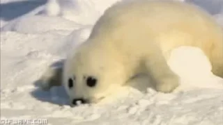 😶