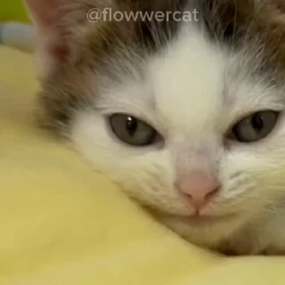 🙁