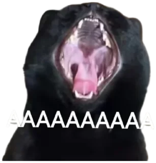 😱