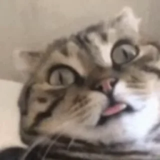 😛
