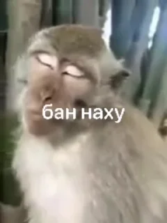 😁