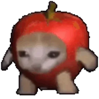 🐈