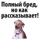 😂