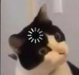 🤪