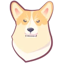 🐶