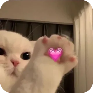 ❤