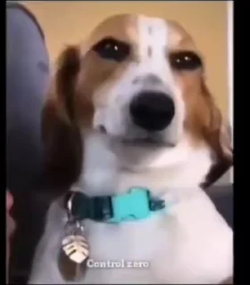 🙂