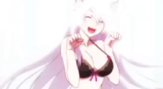 😼