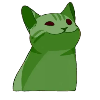 😽