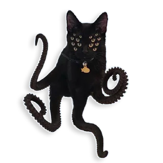 😾