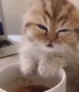 😴