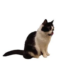 😛