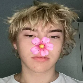 🌸