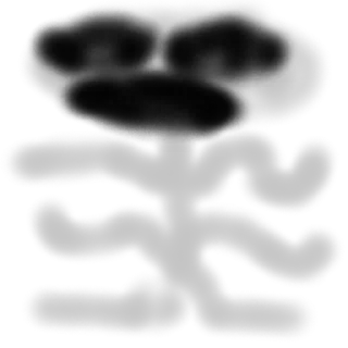 🤫