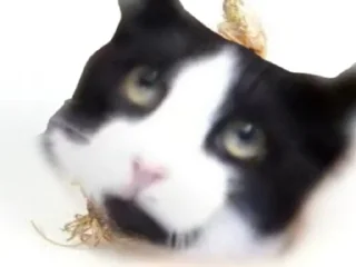 🧅