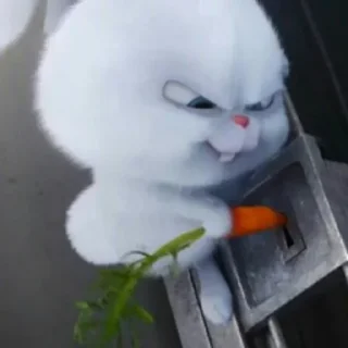 😑