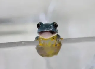 😃