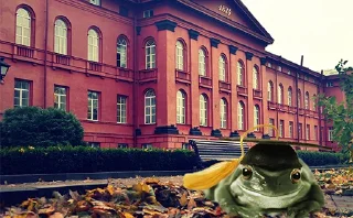 🐸