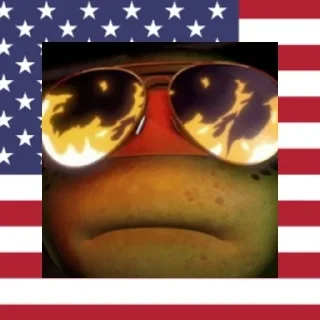 🇺🇸