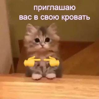 🥺