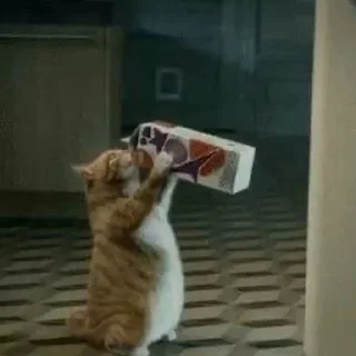 🥛