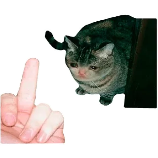 🖕
