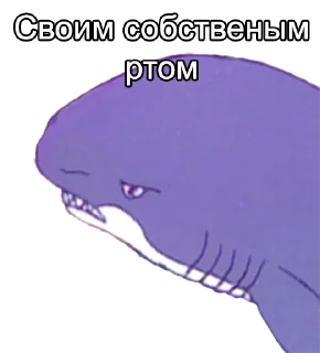 🦈