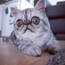 😨