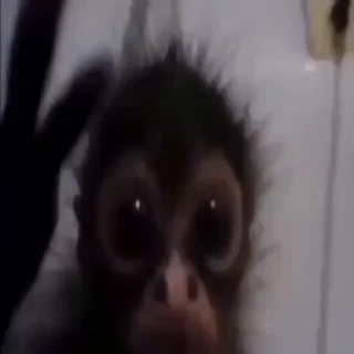 😲