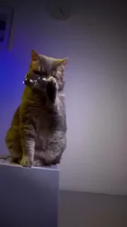 🌟
