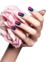💅