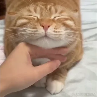 ☺️