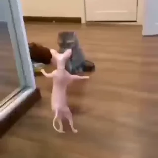 💕