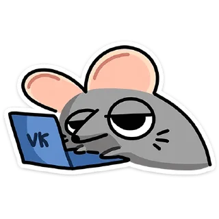 💻