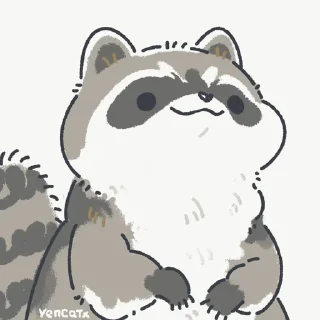 🦝