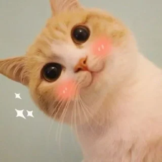 ☺️