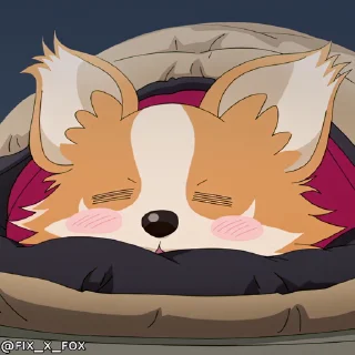 😴
