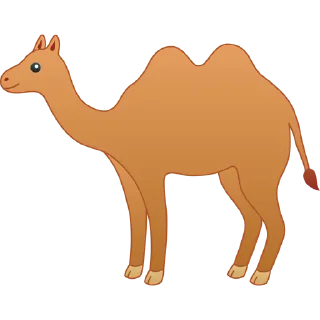🐫