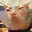 😑