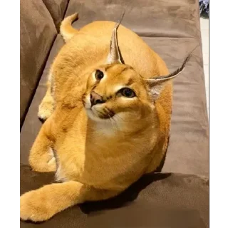 🙃